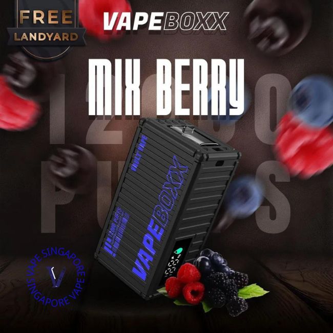 Vapeboxx 12000 Puff - Vape Singapore SG Vape